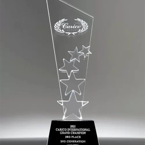 Symbol Of Success: Embrace Achievement With Our Prestigious Premium Award.
