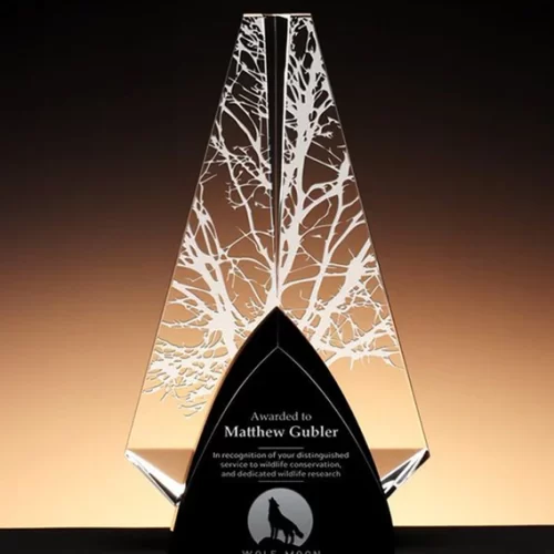 Reflecting Leadership: Shine Bright With Our Executive Glass Award's Timeless Elegance